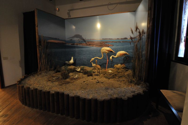 Particolare dell'allestimento